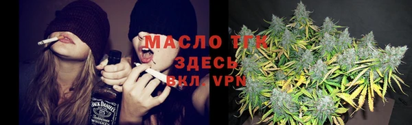 шишки Верхний Тагил