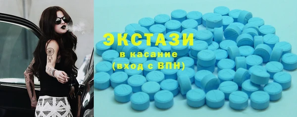 шишки Верхний Тагил