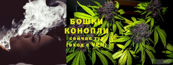 Альфа ПВП Бородино