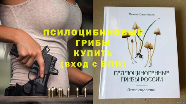 Альфа ПВП Бородино