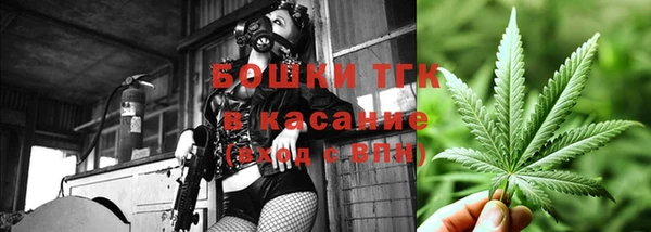 Альфа ПВП Бородино