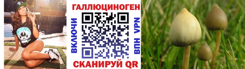 Псилоцибиновые грибы мицелий  купить  сайты  shop формула  Серпухов 